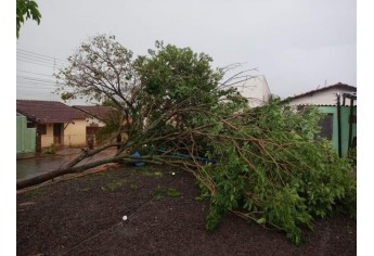 Defesa Civil de Luc�lia contabiliza estragos pelo temporal e deve decretar situa��o de emerg�ncia