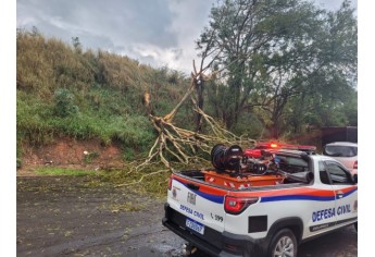 Defesa Civil de Luc�lia contabiliza estragos pelo temporal e deve decretar situa��o de emerg�ncia