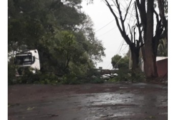 Defesa Civil de Luclia contabiliza estragos pelo temporal e deve decretar situao de emergncia