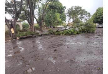 Defesa Civil de Luc�lia contabiliza estragos pelo temporal e deve decretar situa��o de emerg�ncia
