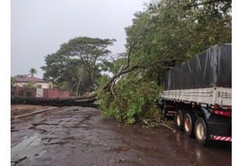 Defesa Civil de Luc�lia contabiliza estragos pelo temporal e deve decretar situa��o de emerg�ncia
