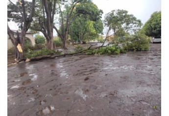Defesa Civil de Luc�lia contabiliza estragos pelo temporal e deve decretar situa��o de emerg�ncia