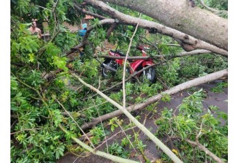 Defesa Civil de Luc�lia contabiliza estragos pelo temporal e deve decretar situa��o de emerg�ncia