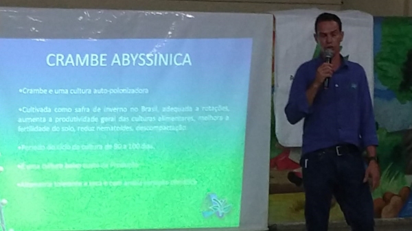 Crambe foi apresentado como nova op��o � agricultura regional (Divulga��o/Secretaria Estadual de Agricultura e Abastecimento).