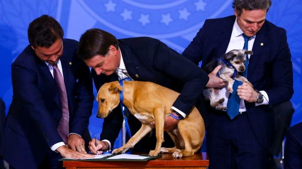 ?Quem n�o demonstra amor por um animal como um c�o, por exemplo, n�o pode demonstrar amor, no meu entender, por quase nada nessa vida?, afirmou Bolsonaro (Foto: Marcelo Camargo/Ag�ncia Brasil).