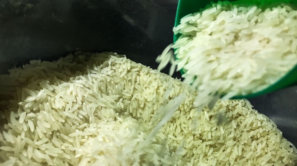 De acordo com o Centro de Estudos Avanados em Economia Aplicada da Universidade de So Paulo (Cepea/USP), o preo do arroz variou mais de 107% nos ltimos 12 meses (Foto: Marcelo Casali/Agncia Brasil).