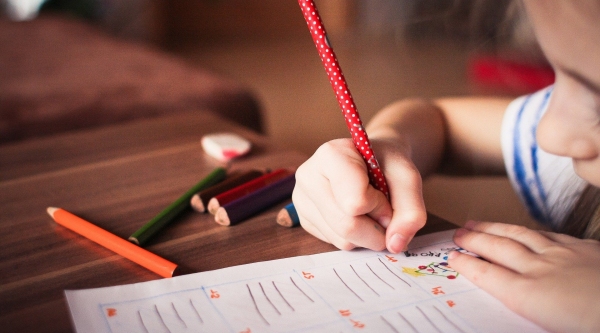 Educa��o sob nova realidade: em tempos de pandemia, estudantes far�o atividades escolares em casa (Foto: Pixabay).