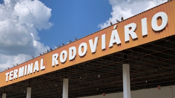 Mar�o de 2022: pombos na fachada do terminal rodovi�rio de Luc�lia (Foto: Aqui Luc�lia).