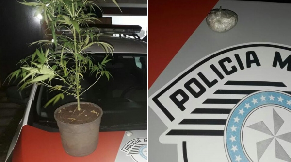 O p� de maconha e a por��o da droga apreendidos pela Pol�cia Militar (Cedida/PM).