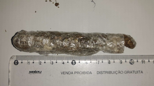 Droga era levada introduzida no canal retal (Divulga��o/Croeste/SAP).