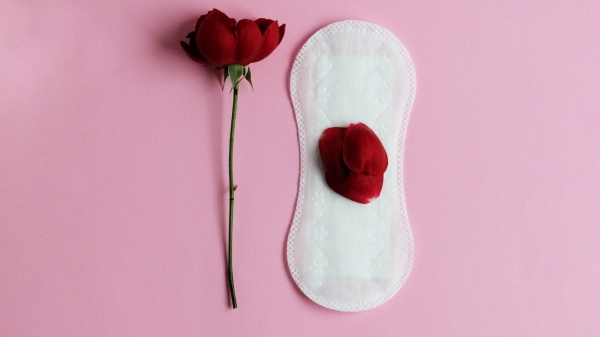A rede estadual conta com 1,3 milh�o de alunas em idade menstrual, entre dez e 18 anos. Desse total, mais de 500 mil possuem cadastro no Cad�nico e s�o consideradas vulner�veis, enquanto que 330 mil est�o em situa��o de extrema pobreza (Foto de Alina Blumberg  no Pexels).