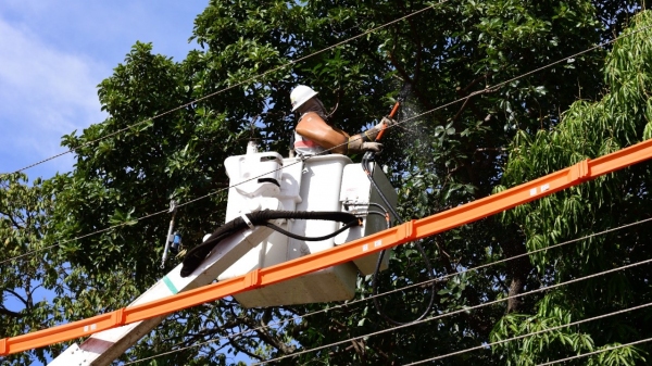 Medida preventiva � realizada pela Energisa (Divulga��o).