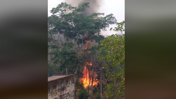 Imagens publicadas nas redes sociais mostram o novo registro de fogo no Salto Botelho, ocorrido nesta sexta-feira (Reprodu��o).