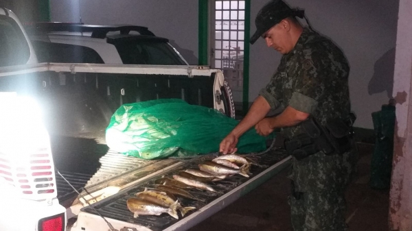Pescados apreendidos aps a constatao da pesca irregular no Salto Botelho (Cedida/PM Ambiental).