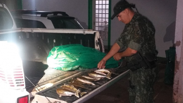 Pescados apreendidos ap�s a constata��o da pesca irregular no Salto Botelho (Cedida/PM Ambiental).