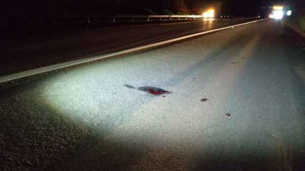 Local do atropelamento, no km 583 da SP-294, em Luc�lia (Cedida/PM Rodovi�ria).