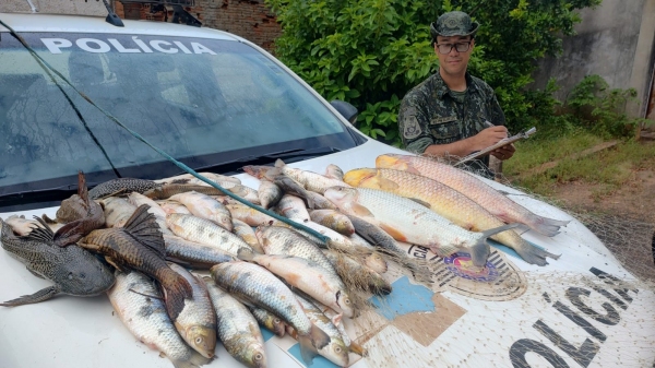 Os quase 28 quilos de pescados apreendidos na fiscaliza��o ambiental (Divulga��o/PM Ambiental).